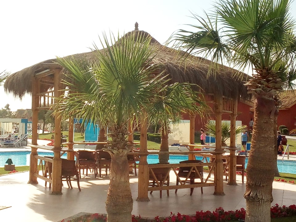 Gastro Pickalbatros Jungle Aqua Park Resort - Neverland Hurghada