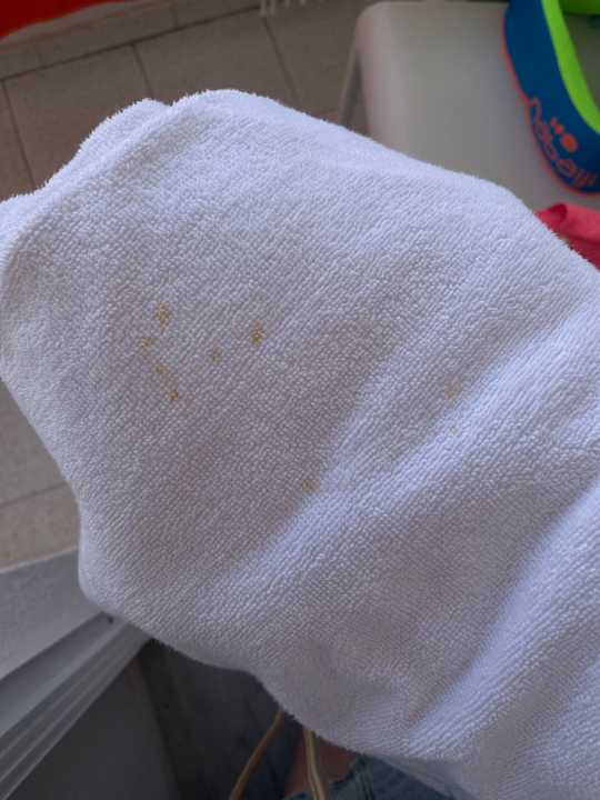 Zimmer FERGUS Club Pineda Splash