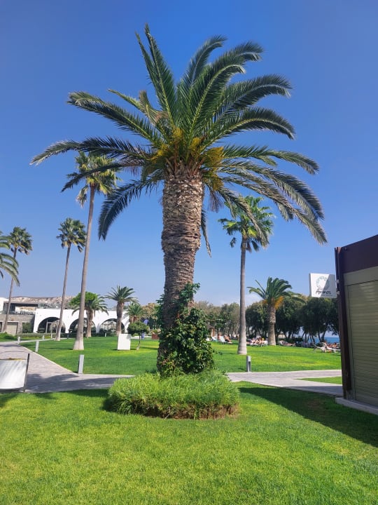 Außenansicht Atlantica Beach Resort Kos