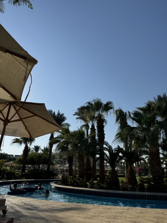 Pool Steigenberger ALDAU Beach Hotel