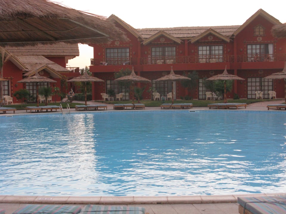 Бассейн около номера Pickalbatros Jungle Aqua Park Resort - Neverland Hurghada