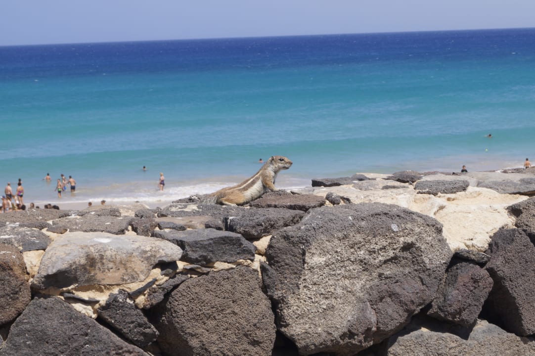 Strand Club Jandia Princess
