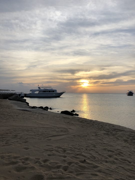 Strand Pickalbatros Aqua Vista Resort - Hurghada