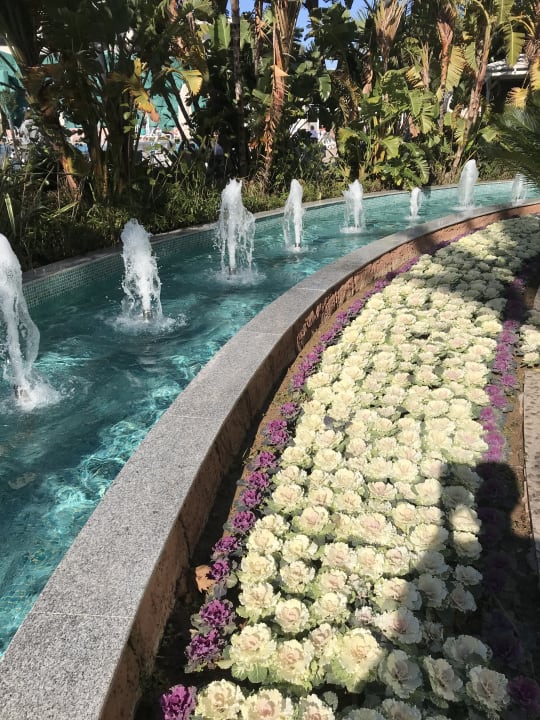 Garten Hotel Delphin Imperial