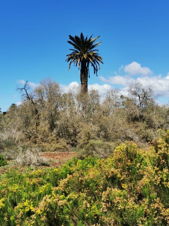 Ausblick Hotel Riu Palace Oasis