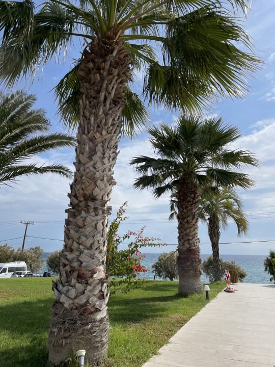 Ausblick Atlantica Mikri Poli Kos