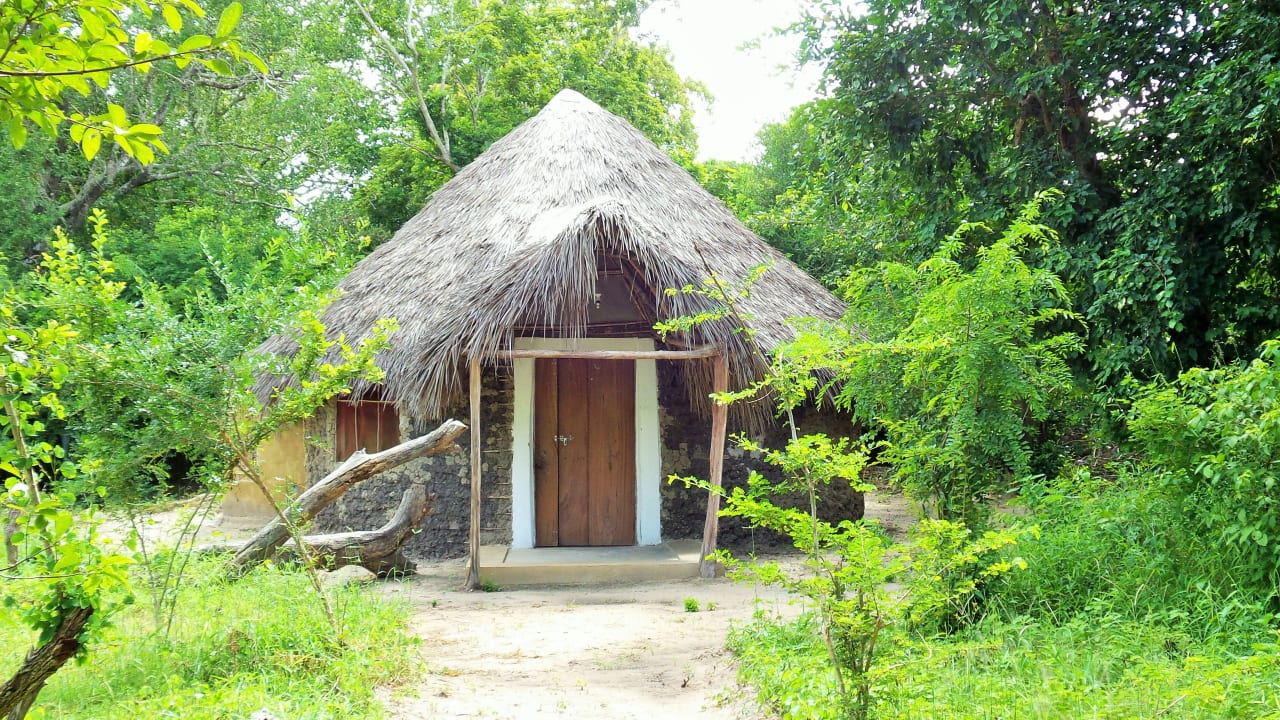 Zimmer Africa Safari Selous