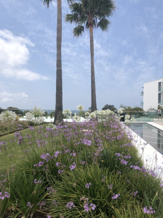 Garten Hipotels Gran Conil Hotel