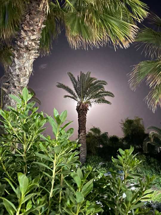 Gartenanlage TUI MAGIC LIFE Africana