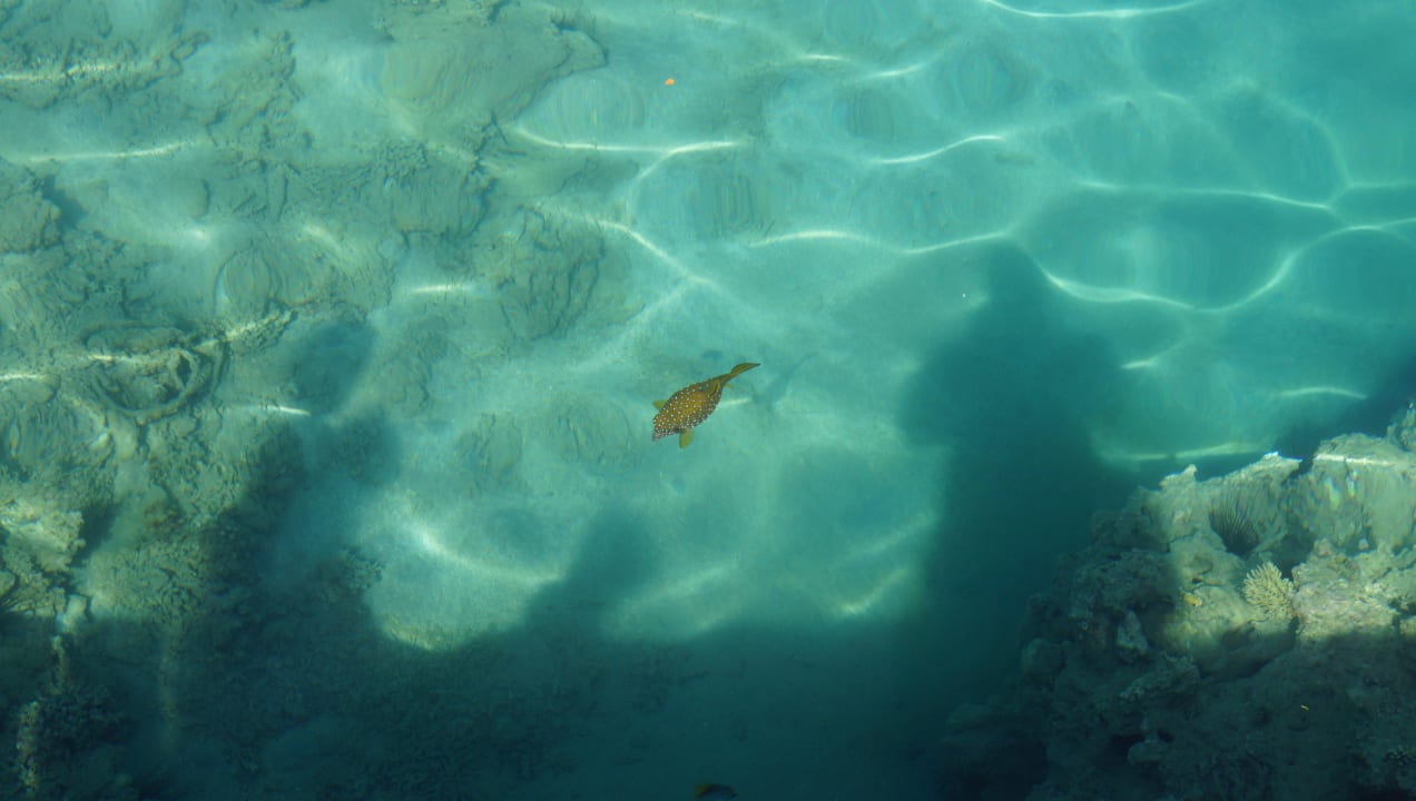 Море Pickalbatros Dana Beach Resort - Hurghada