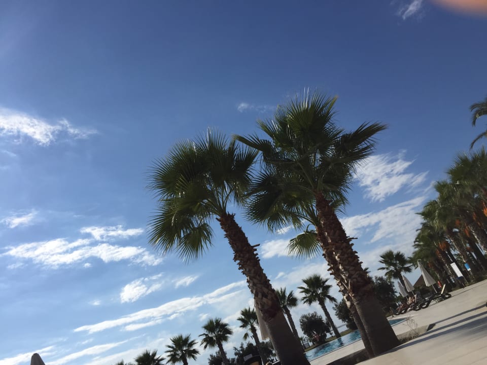 Pool Calimera Serra Palace