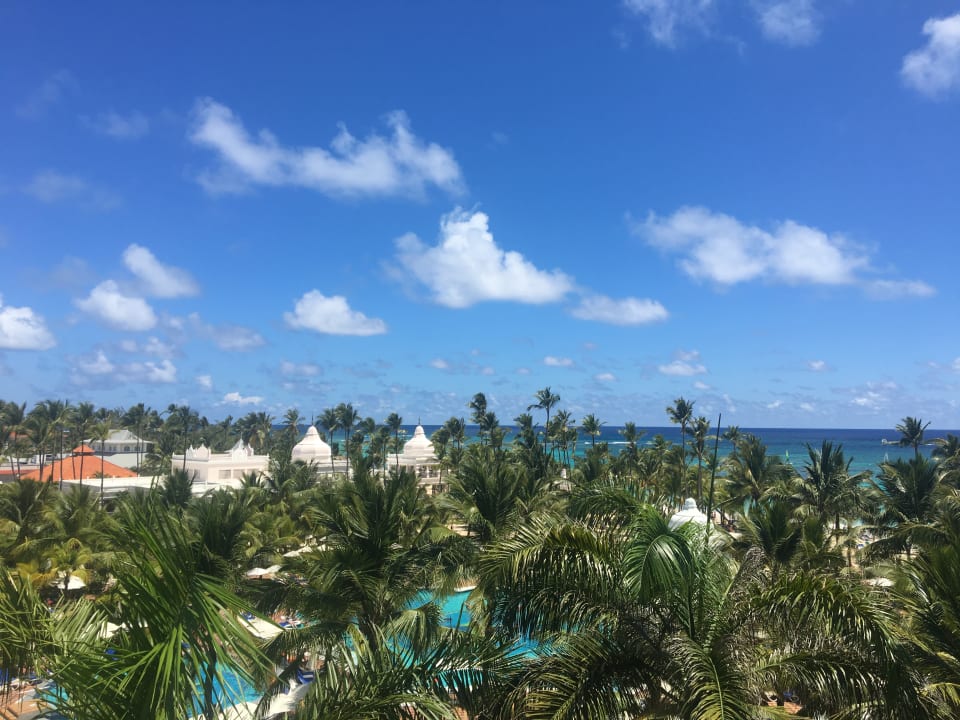 Ausblick Hotel Riu Palace Punta Cana