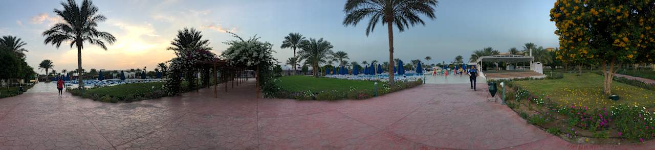 Gartenanlage Desert Rose