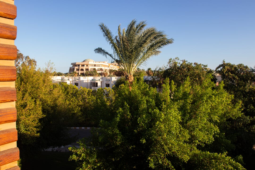 Ausblick Desert Rose