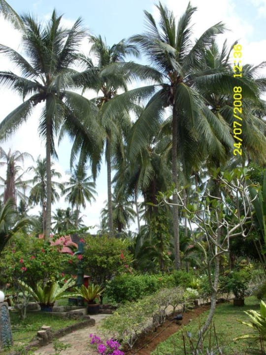 Gartenanlage Holiday Villa Hotel Holiday Villa Beach Resort Cherating