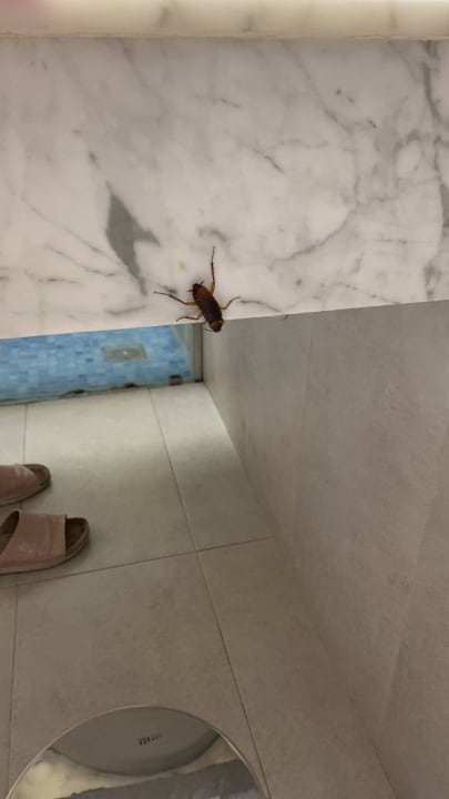 Zimmer allsun Hotel Lucana