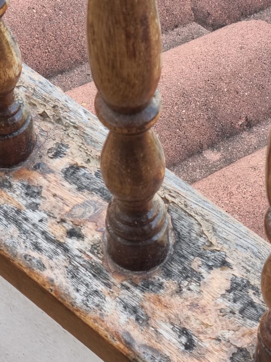 Ausblick Apartamentos Casablanca