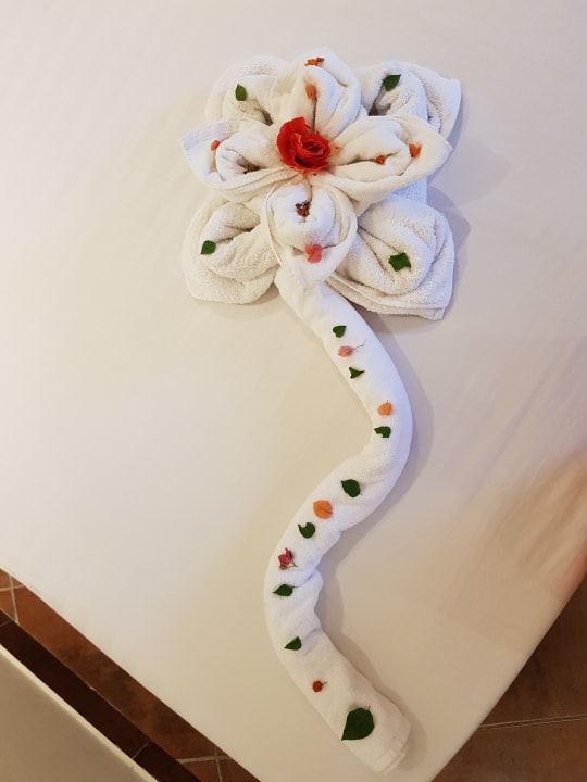 Zimmer Three Corners Sea Beach Resort