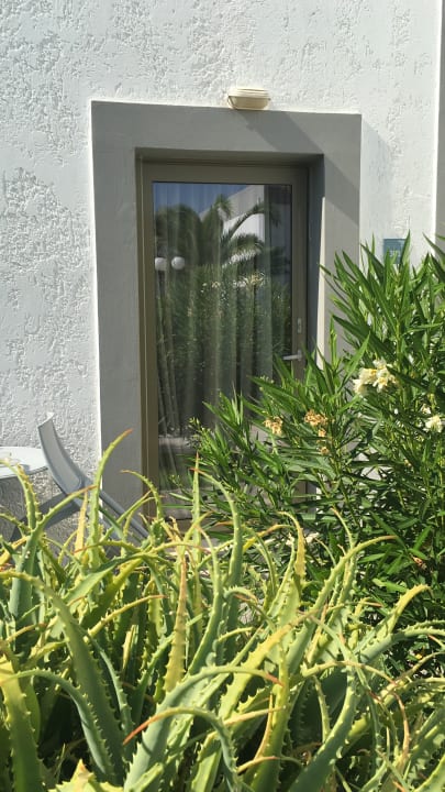 Außenansicht Enorme Maya Beach