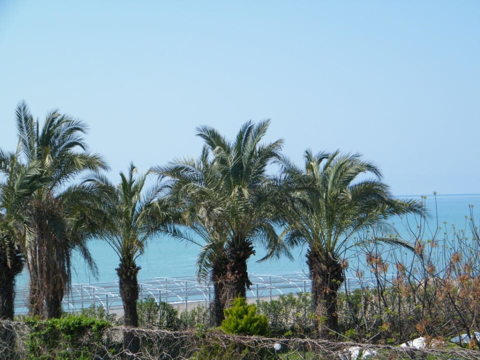 Blick zum Meer Belek Beach Resort Hotel