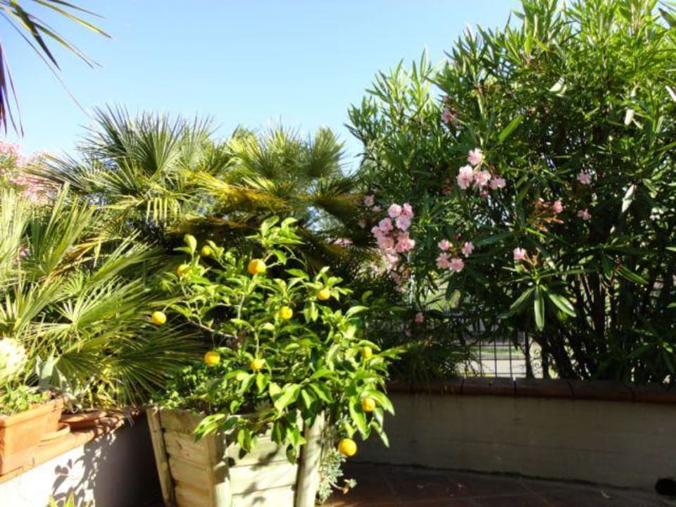 Hübsche Terrasse Hotel & Residence Le Palme