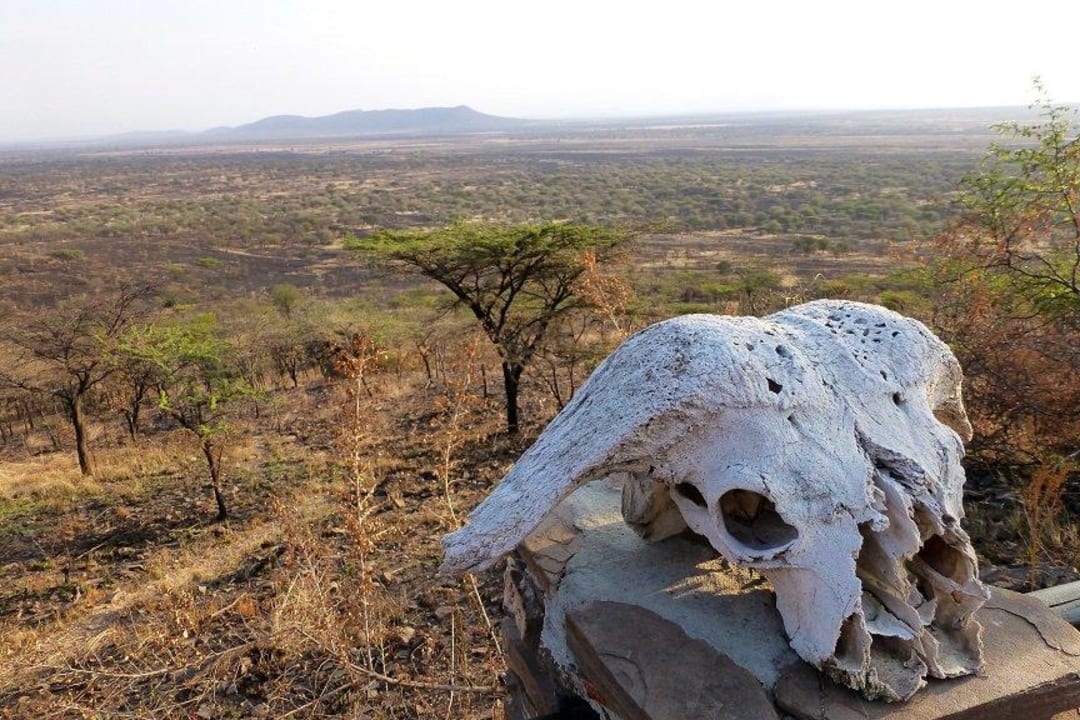 Ausblick von einer Terrasse am Rande der Anlage Serengeti Serena Safari Lodge