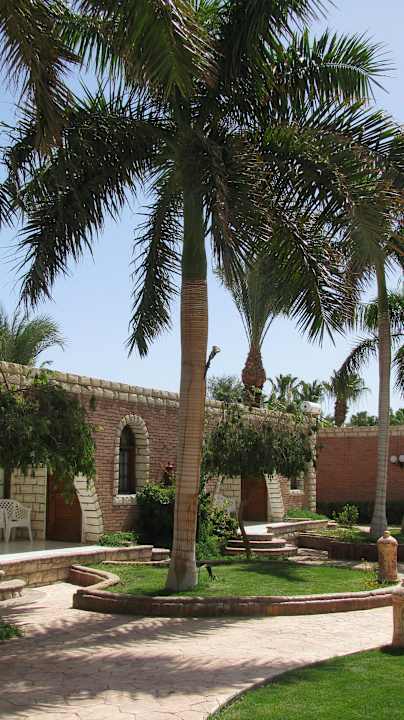 Территория Aladdin Beach Resort