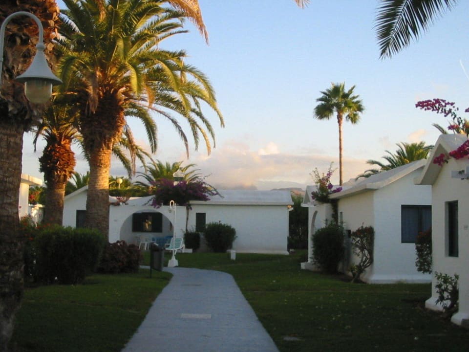 Weg durch die Anlage Canary Garden Club