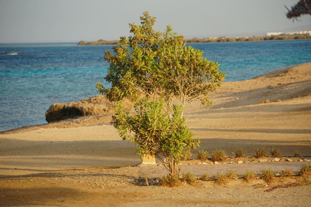 Strand Wadi Lahmy Azur Resort