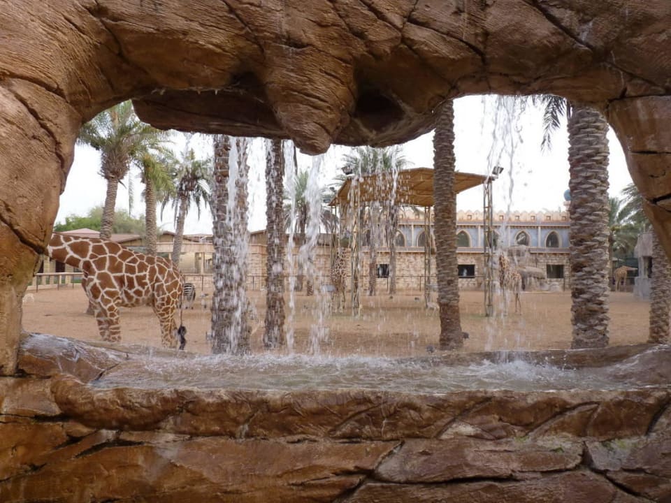 Внутри отеля Hotel Emirates Park Resort