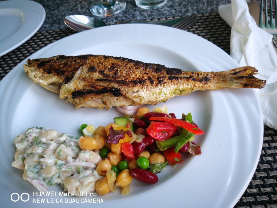 Gastro Club Paradisio El Gouna, Red Sea