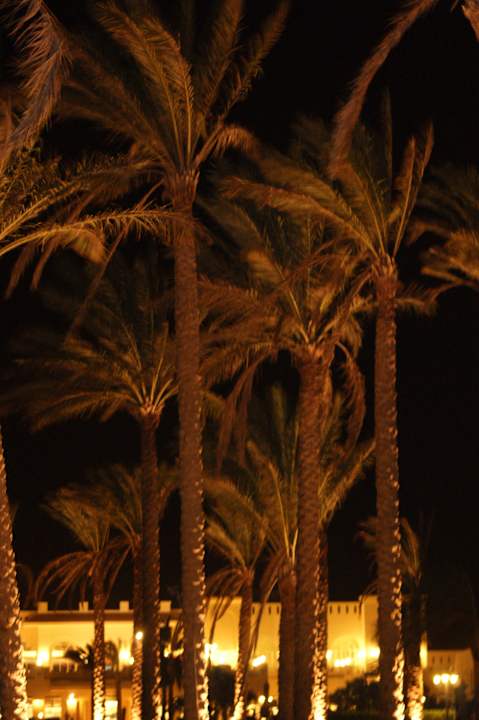 Evening Cleopatra Luxury Resort Makadi Bay