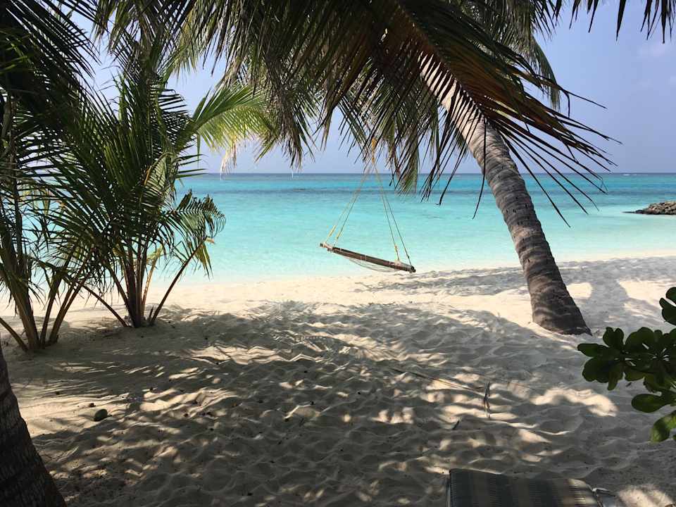 Strand Summer Island Maldives