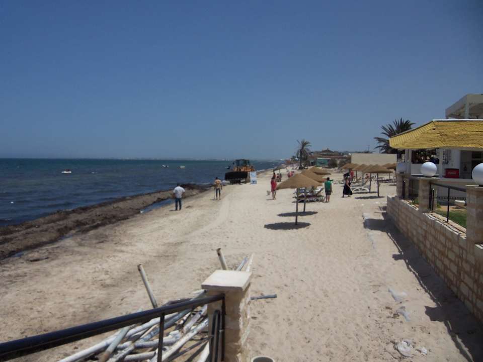 Algenplage 11. Tag Alassio Hotel and Thalasso