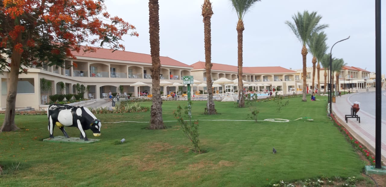 Garten Pickalbatros Aqua Blu Resort - Sharm El Sheikh