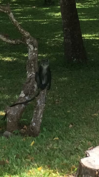 Gartenanlage Neptune Paradise Beach Resort & Spa