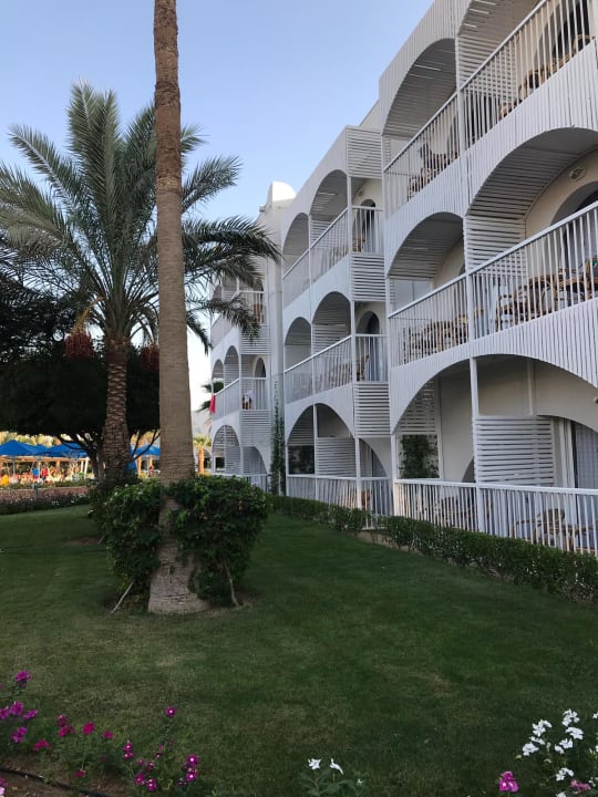 Außenansicht Desert Rose