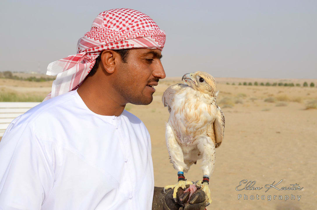 Falken spielen eine wichtige Rolle  Hotel Bab Al Shams Desert Resort & Spa