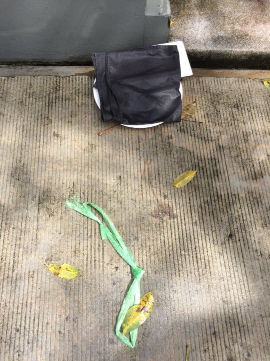 Gartenanlage Pullman Phuket Arcadia Naithon Beach