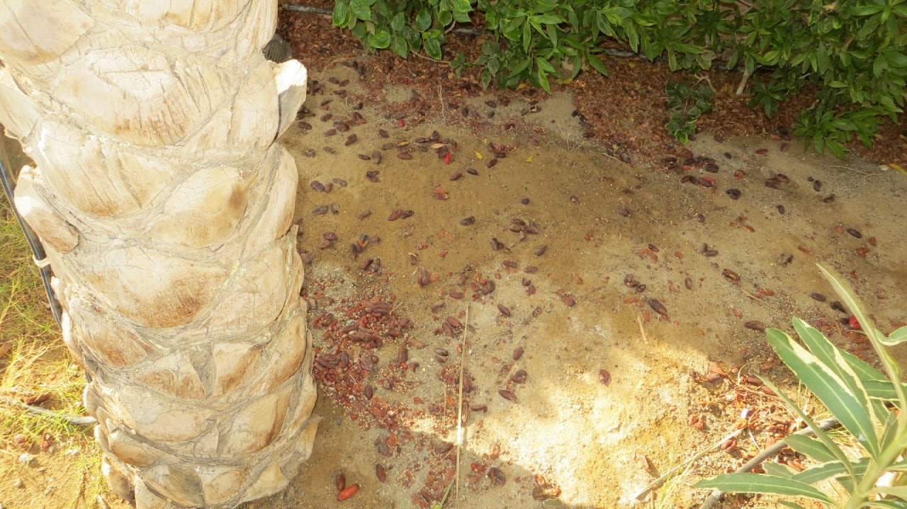 Sonstiges Coral Hills Resorts & SPA