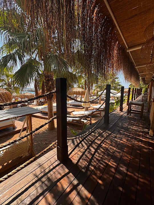 Ausblick Rubi Platinum Sign