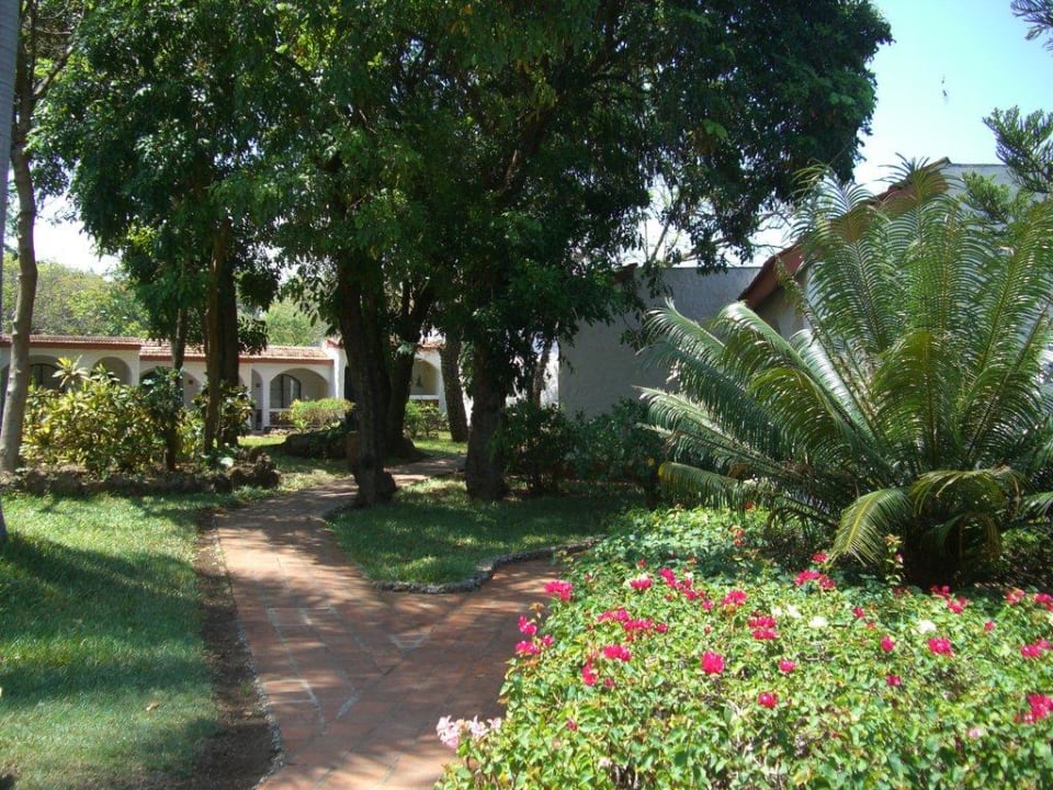 Diani Sea Lodge Hotel Diani Sea Lodge
