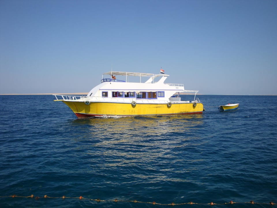 Widok z tarasu restauracji Arabella Azur Resort