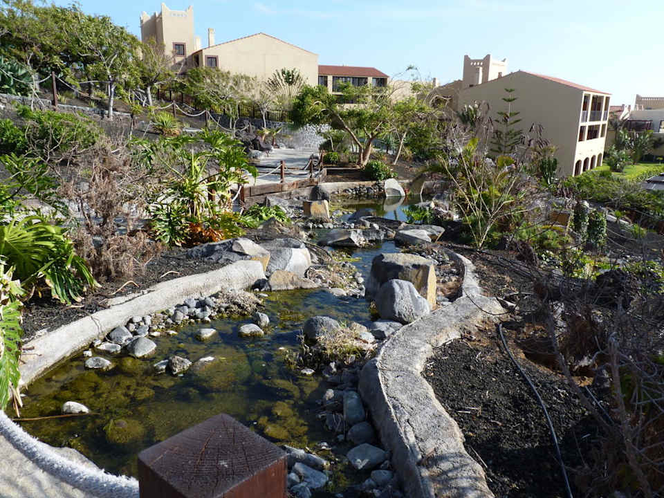 Teich mit Goldfischen La Palma Princess