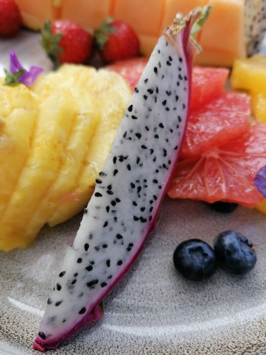 Gastro GRIFID Vistamar