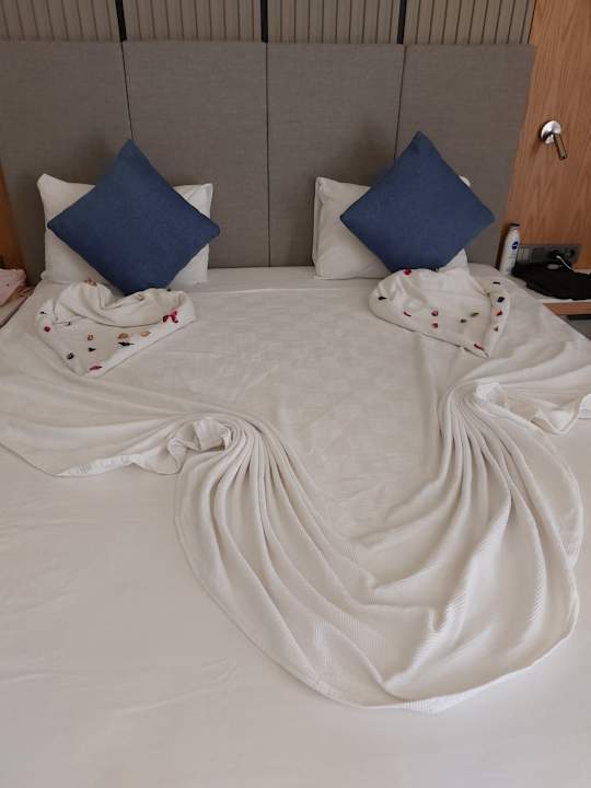 Zimmer AQI Hydros Club