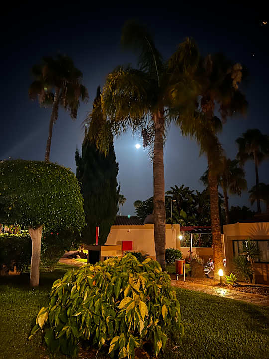 Gartenanlage allsun Hotel Esplendido