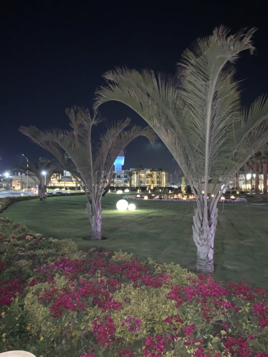 Garten Beach Albatros Resort