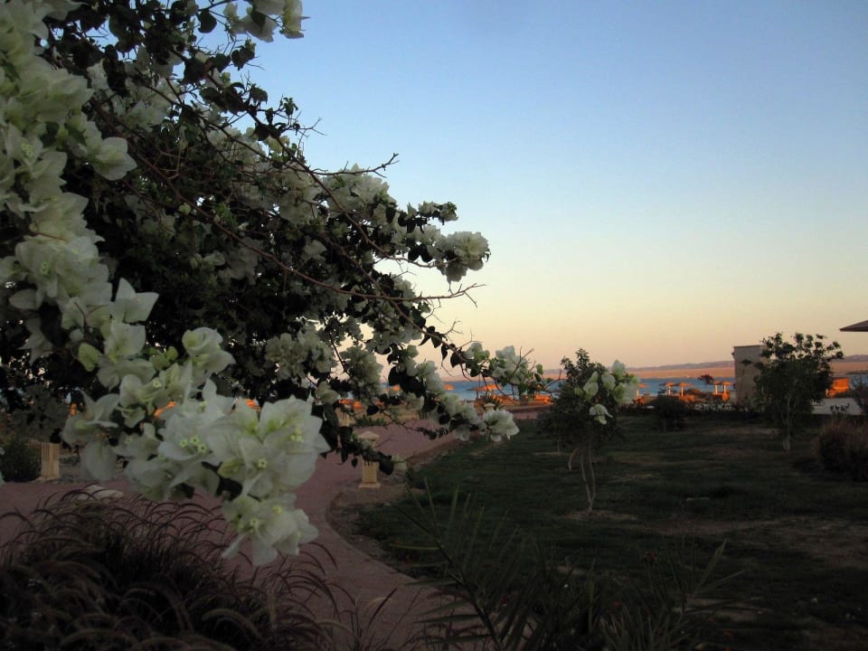 Stimmung vor Sonnenuntergang Lahami Bay Beach Resort