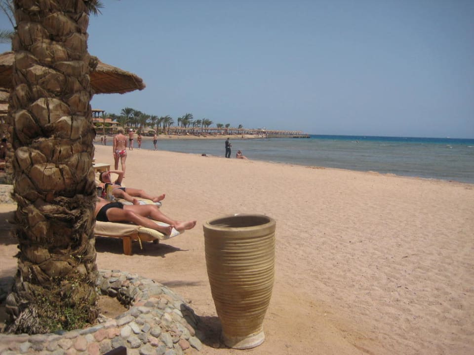 Strand im April Pickalbatros Palace Resort